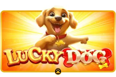 ak8 Casino Trực Tuyến